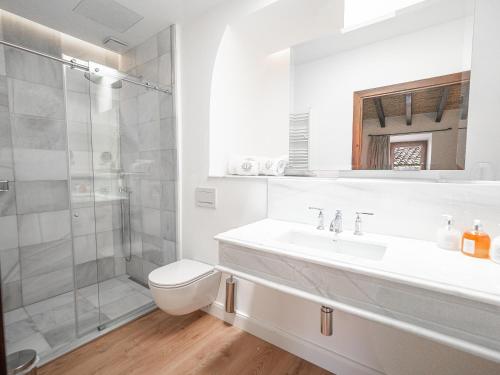a bathroom with a sink and a toilet and a shower at Ca'n Puig de Sòller in Sóller