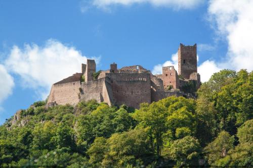 um castelo no topo de uma colina com árvores em Gîte Au Coeur De Ribeauvillé em Ribeauvillé