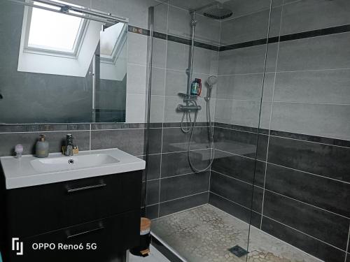 een badkamer met een douche en een wastafel bij ESCAPADE BELINOISE in Moncé-en-Belin
