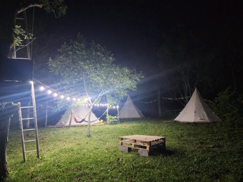 a group of tents in a field at night at Karavani in Ambrolauri