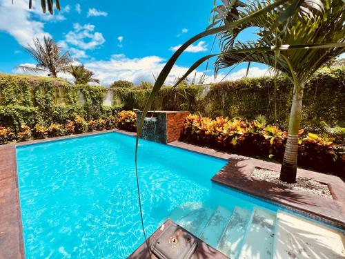 a swimming pool with a palm tree in a yard at Cabañas del Norte in Fortuna