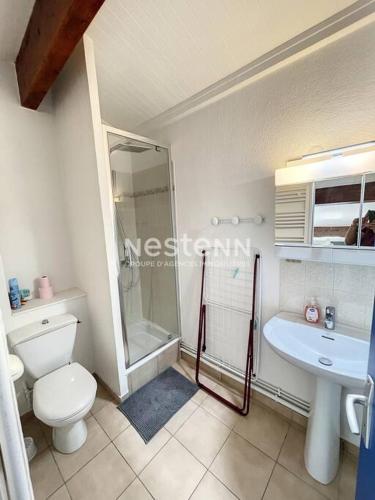 une salle de bain avec une douche, des toilettes et un lavabo dans l'établissement 2942-Appart t4, 6 couchages, Piscine, à Argelès-sur-Mer