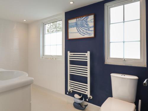 baño con aseo blanco y pared azul en Church Cottage, en Diss
