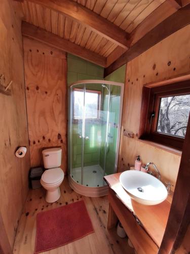 ein Bad mit einem WC und einem Waschbecken in der Unterkunft Cabaña entre Bosque y Cordillera in Lonquimay