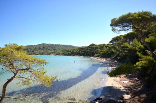 a view of a beach with trees and the water at studio hyeres port et iles d'or. in Hyères