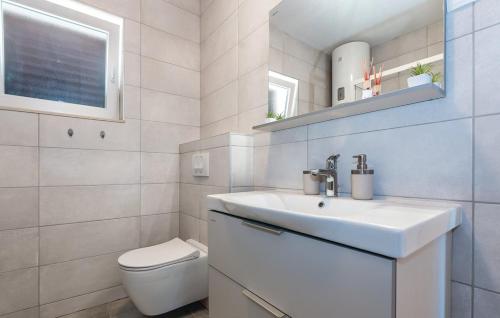 un bagno bianco con lavandino e WC di Villa Barbara a Pakovo Selo