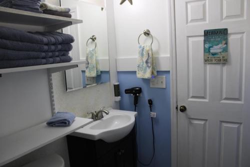 a bathroom with a sink and a mirror and towels at Mermaid Manor in Homosassa