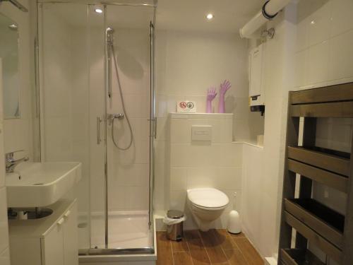 ein Bad mit einer Dusche, einem WC und einem Waschbecken in der Unterkunft Apartementhaus Gneisenaustraße in Bremen