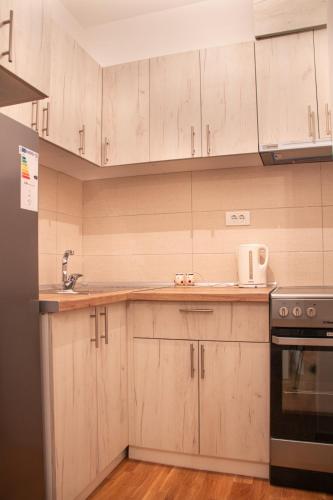 Una cocina o cocineta en Vasilije