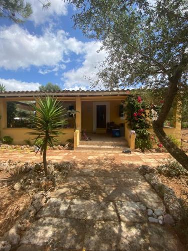 a house with a palm tree in front of it at Casa de Estrella in Costitx