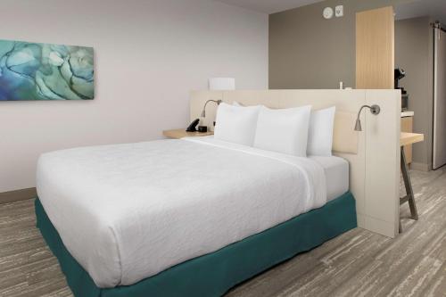 Hilton Garden Inn Orlando Downtown Image