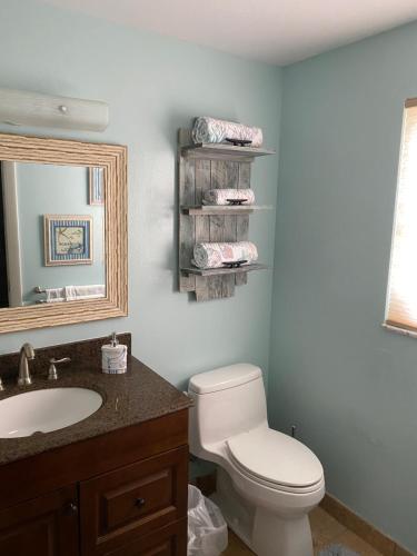 a bathroom with a toilet and a sink and a mirror at Venice Dream Vacations, Centrally Located, Just Waiting For You in Venice