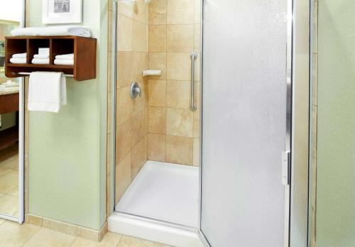 a shower with a glass door in a bathroom at Hampton Inn & Suites Savannah/Midtown in Savannah