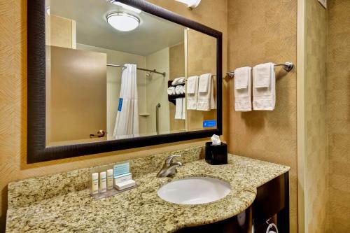 a bathroom with a sink and a mirror at Hampton Inn Starkville in Starkville