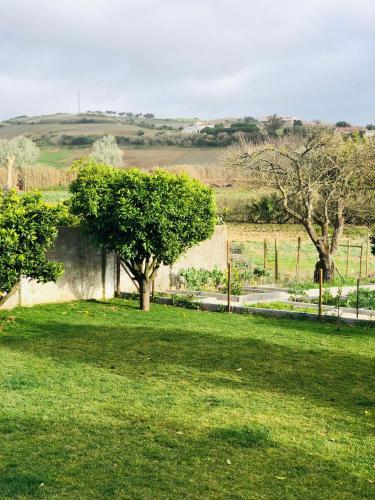 a green field with two trees and a fence at Varzea Nature in Torres Vedras