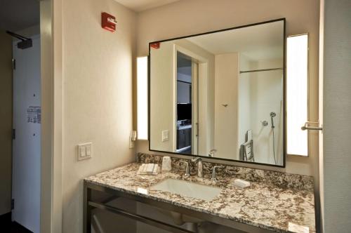 a bathroom with a sink and a large mirror at Hilton Garden Inn Detroit Troy in Troy