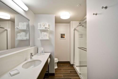 Hampton Inn Livonia Detroit في ليفونيا: حمام أبيض مع حوض ودش