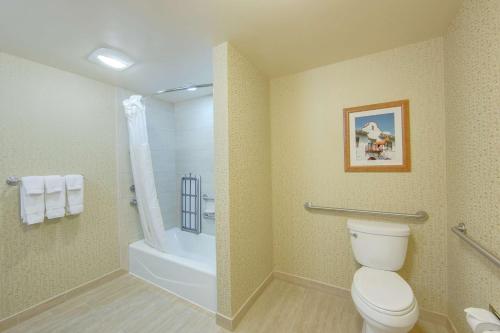 uma casa de banho com um WC e um chuveiro em Hilton Garden Inn Fort Worth Medical Center em Fort Worth