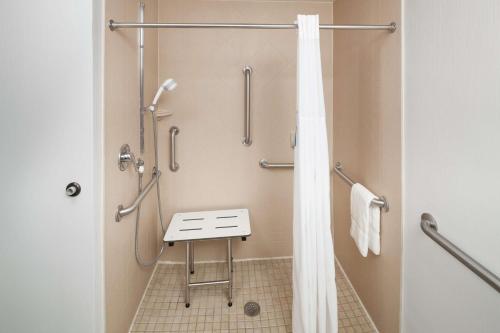 a bathroom with a shower with a stool in it at Hampton Inn Kansas City Liberty in Liberty