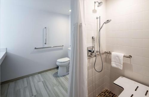 Bilik mandi di Hilton Garden Inn Chicago O'Hare Airport
