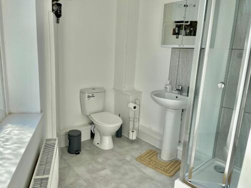 uma pequena casa de banho com WC e lavatório em Cheerful 1 Bed Apartment Cardiff City Centre - Penarth Rd em Cardiff