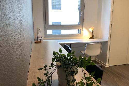 una oficina con escritorio y maceta en Le Montesquieu-élégant studio -5 min Bellecour, en Lyon