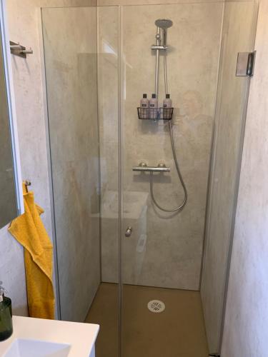 a shower with a glass door in a bathroom at Skammidalur cottages in Vík