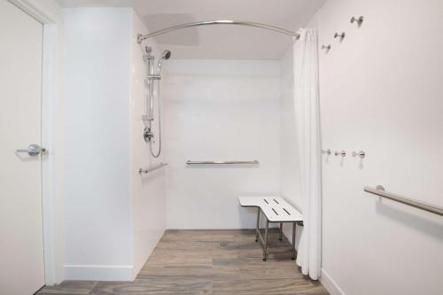 a bathroom with a shower and a bench in it at Hampton Inn & Suites N Ft Worth-Alliance Airport in Roanoke