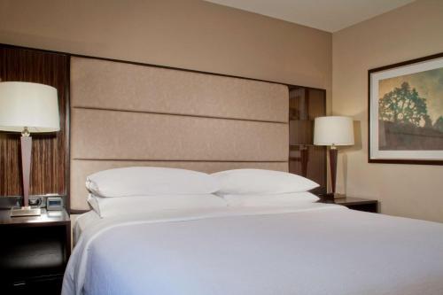 Embassy Suites by Hilton Houston Near the Galleria Image