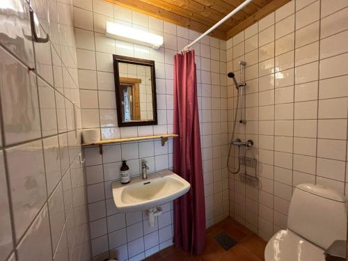 a bathroom with a sink and a shower and a toilet at Sevletunet B&B and Cabins in Rødberg