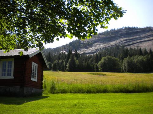 Afbeelding uit fotogalerij van Telemark Inn - Hytte in Hauggrend