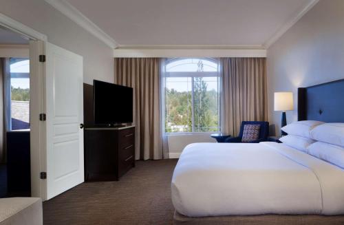 Habitación de hotel con cama grande y TV en Hilton Santa Cruz Scotts Valley, en Santa Cruz