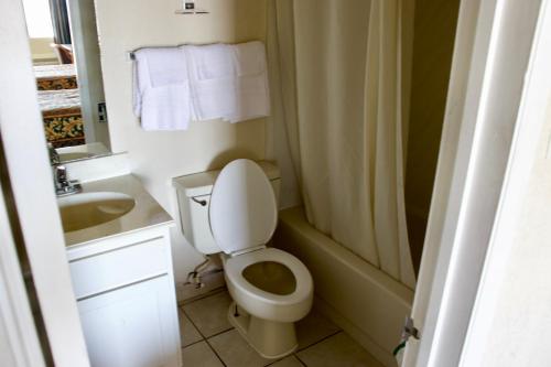 a bathroom with a toilet and a sink and a shower at Executive Inn of Arlington, Near AT&T Stadium in Arlington