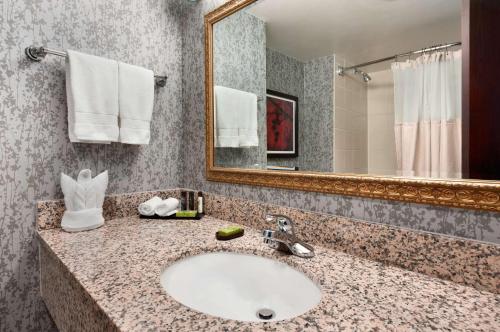 a bathroom with a sink and a mirror at Embassy Suites by Hilton Dulles Airport in Herndon