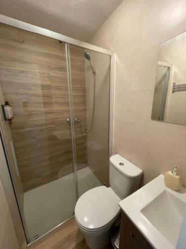 a bathroom with a shower and a toilet and a sink at Casa dos Pintos in Paredes de Coura