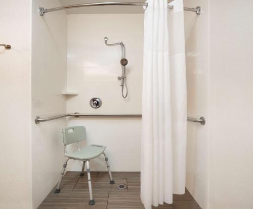 a shower with a chair and a shower curtain at Hampton Inn Lawrenceville in Lawrenceville