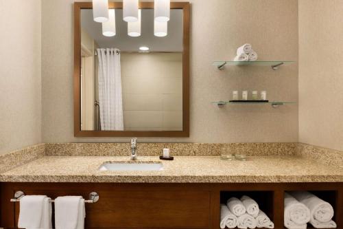 Salle de bains dans l'établissement Embassy Suites by Hilton Denver Downtown Convention Center