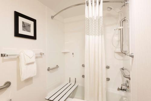 a bathroom with a shower with a shower curtain at Hampton Inn Ann Arbor - North in Ann Arbor