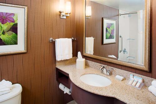 y baño con lavabo, aseo y espejo. en Hilton Garden Inn Hartford North-Bradley International Airport en Windsor