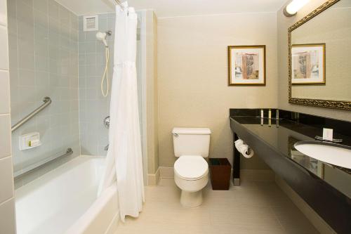 y baño con aseo, bañera y lavamanos. en DoubleTree by Hilton Hotel Detroit - Novi en Novi