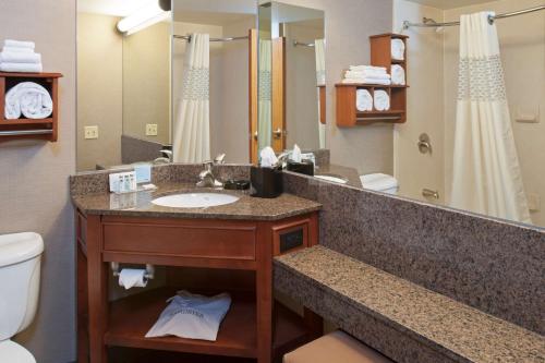 a bathroom with a sink and a toilet and a mirror at Hampton Inn Muskegon in Muskegon Heights