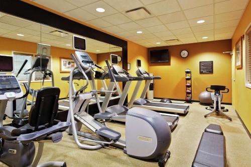 a gym with treadmills and cardio equipment in a room at Hilton Garden Inn Springfield, IL in Springfield