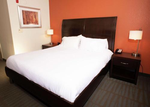 a large bed in a hotel room with two lamps at Hilton Garden Inn Springfield, IL in Springfield