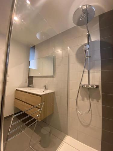 une salle de bain avec douche et lavabo dans l'établissement Appartement RDC avec grande terrasse et parking, à Ploemeur
