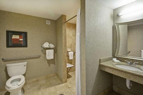 bagno con servizi igienici, lavandino e specchio di Hilton Garden Inn Toledo / Perrysburg a Perrysburg