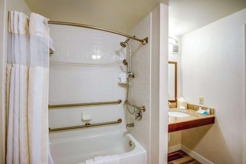 a bathroom with a bath tub and a sink at Hilton Garden Inn Tampa Ybor Historic District in Tampa