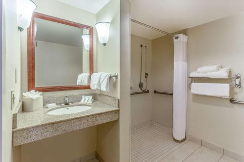 y baño con lavabo y ducha. en Hilton Garden Inn Richmond South/Southpark en Colonial Heights