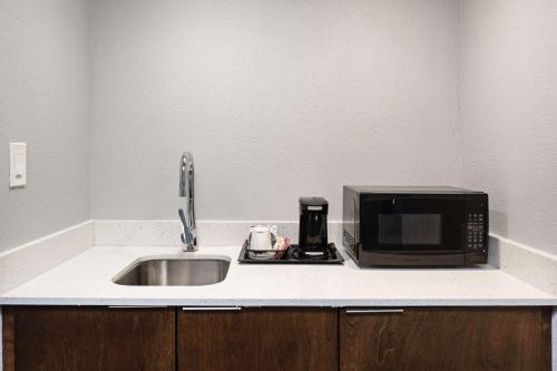 a kitchen counter with a sink and a microwave at Hampton Inn Richmond/Midlothian Turnpike in Midlothian
