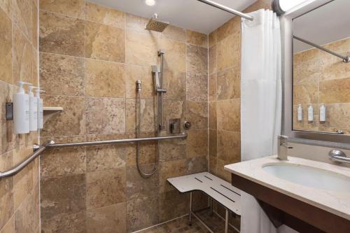 a bathroom with a shower and a sink at Hampton Inn Manhattan/Downtown- Financial District in New York