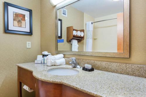 Hampton Inn Petersburg - Southpark Mall في كولونيل هايتس: حمام مع حوض ومرآة كبيرة